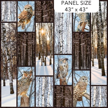 43" X 44" Panel Owls Birds Woods Forest Naturescapes Solitude Dark Brown Cotton Fabric Panel (DP26770-38)