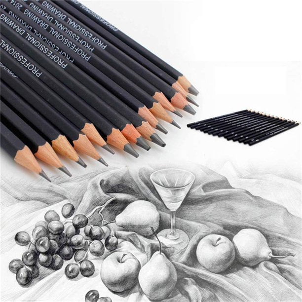 14pcs 6H-12B Sketch Drawing Pencil Set Sketching Art Kit in Carry Case  Utility
