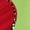 Green, variant on Funny Leopard Heart Love Graphic Hooded for Women Cute Valentine's Day Fleece Sweatshirt Long Sleeve Drawstring Pullover Hoodie Oversized Sweatshirt Tops(Red,L)