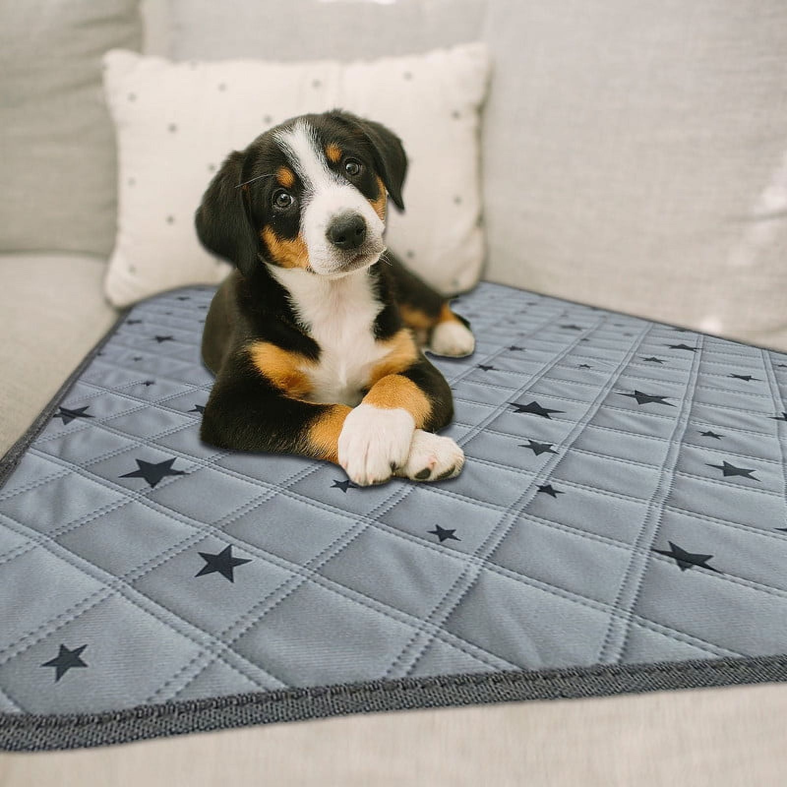 RIOUSSI Washable Pee Pads for Dogs, Puppy Pads for Potty Training with Leakproof Bottom. 1 Pack, 36"x72"