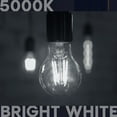 thumbnail image 2 of Luxrite Vintage A19 LED Light Bulb 100 Watt Equivalent 1600 Lumens 5000K Bright White Dimmable 12W Damp Rated UL E26 Base 2 Pack, 2 of 7