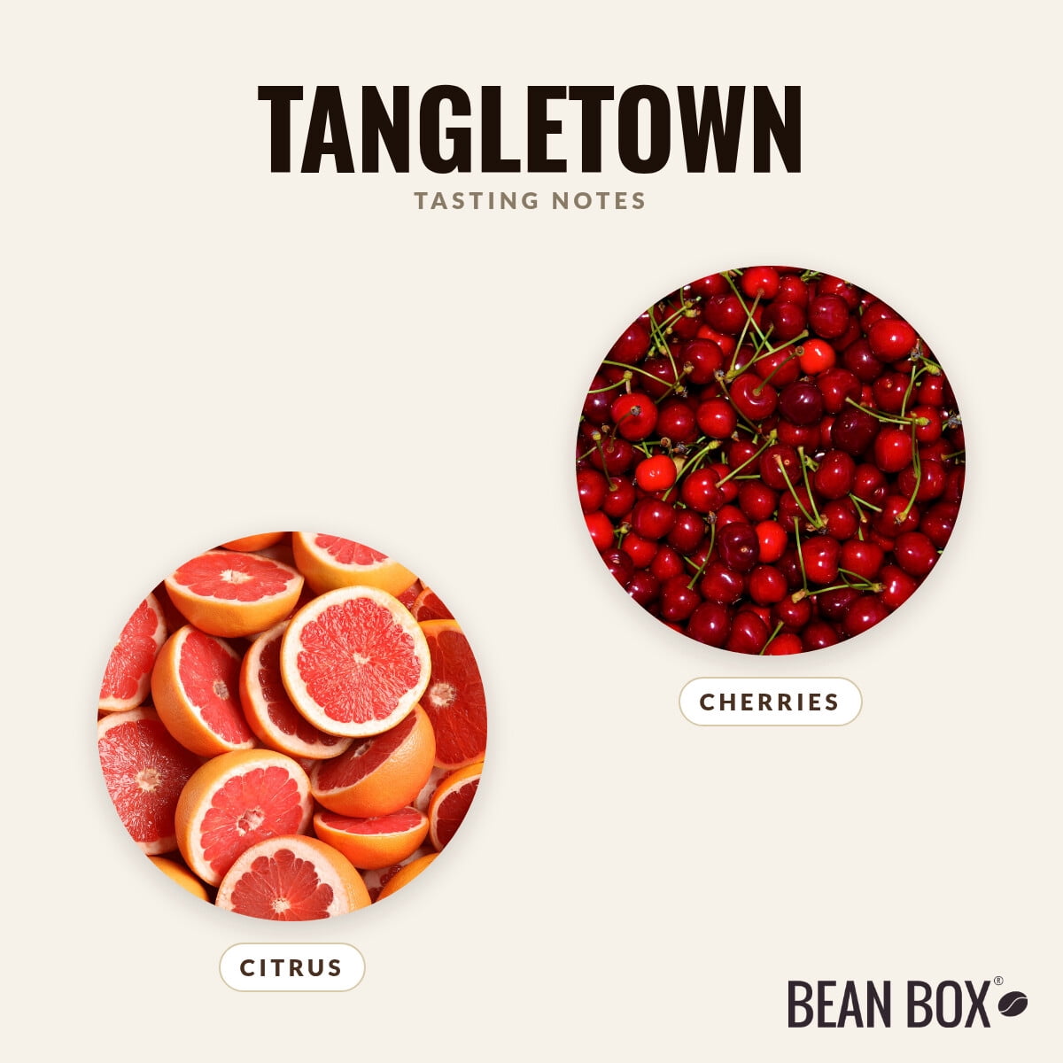 Tangletown - Roasted by Zoka Coffee - Whole Bean Coffee - 2lb Bag