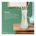 thumbnail image 4 of Aromatizante de ambiente continuo Air Wick real moments summer delights 30 ml, 4 of 4