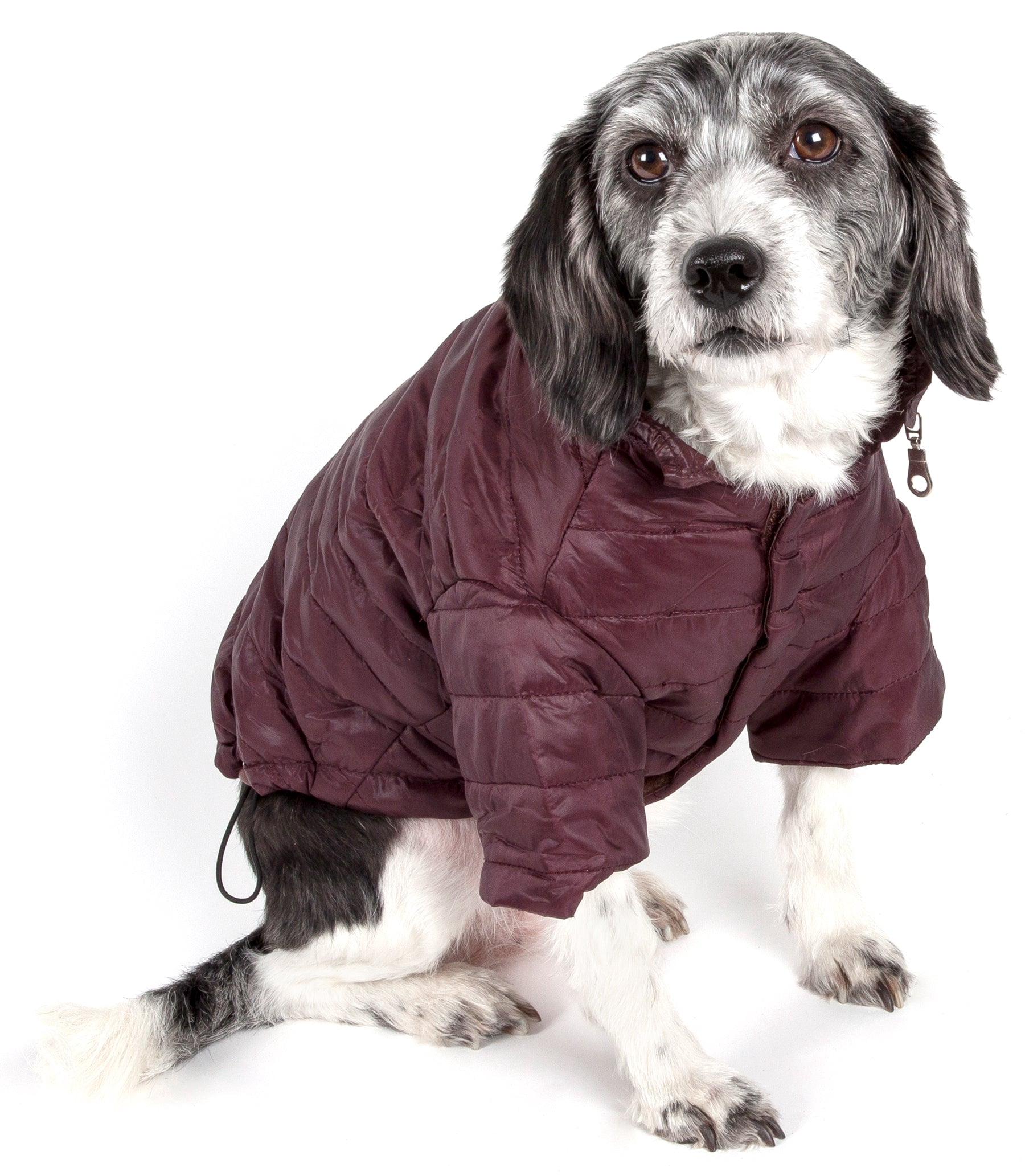 Pet Life LLC 30BRSM Lightweight Adjustable 'Sporty Avalanche' Pet Coat