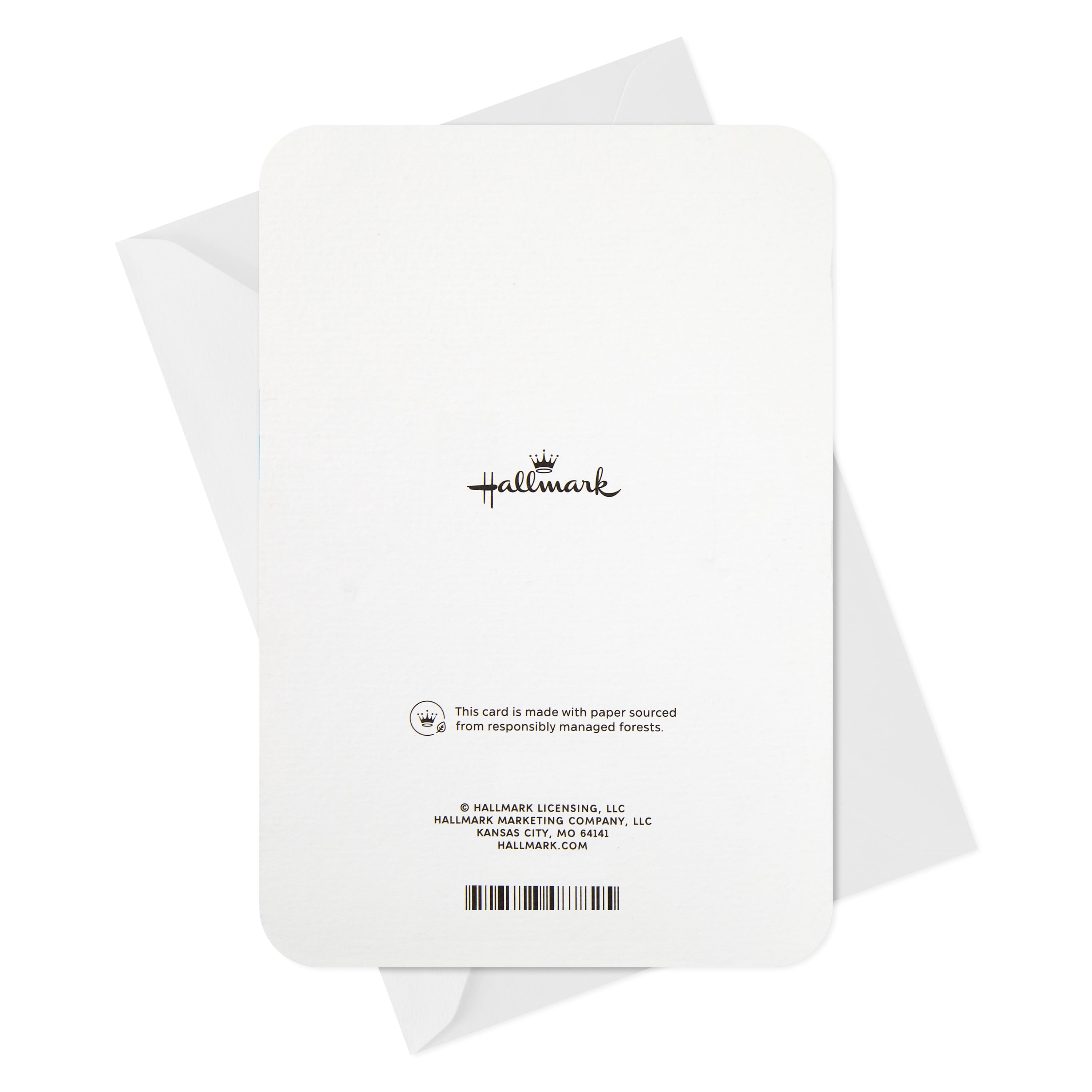 Hallmark Anniversary Greeting Card (Celebrating Another Year of Love)