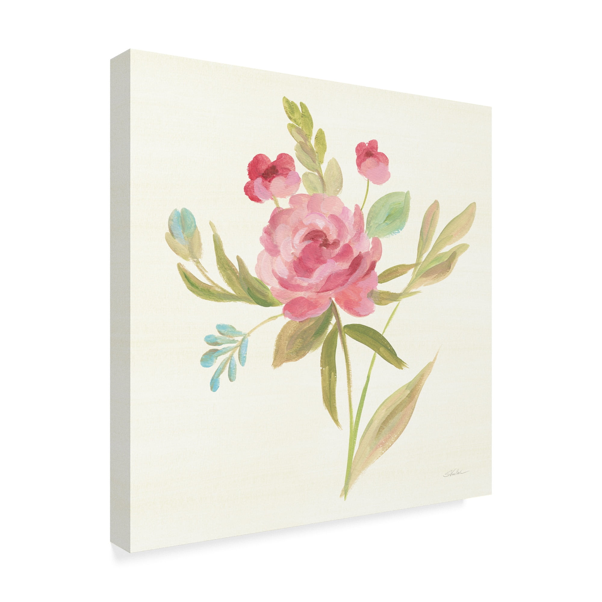 Trademark Fine Art 'Petals and Blossoms V' Canvas Art by Silvia Vassileva