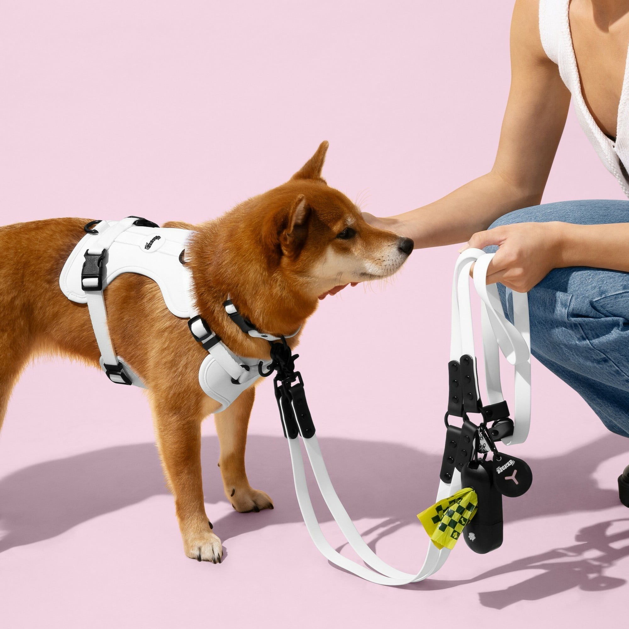 THE LICKER STORE Arlo Medium Adjustable Soft Padded No Pull Pet Harness with 3 Buckles and 3 Leash Clips, White, HNS1002F