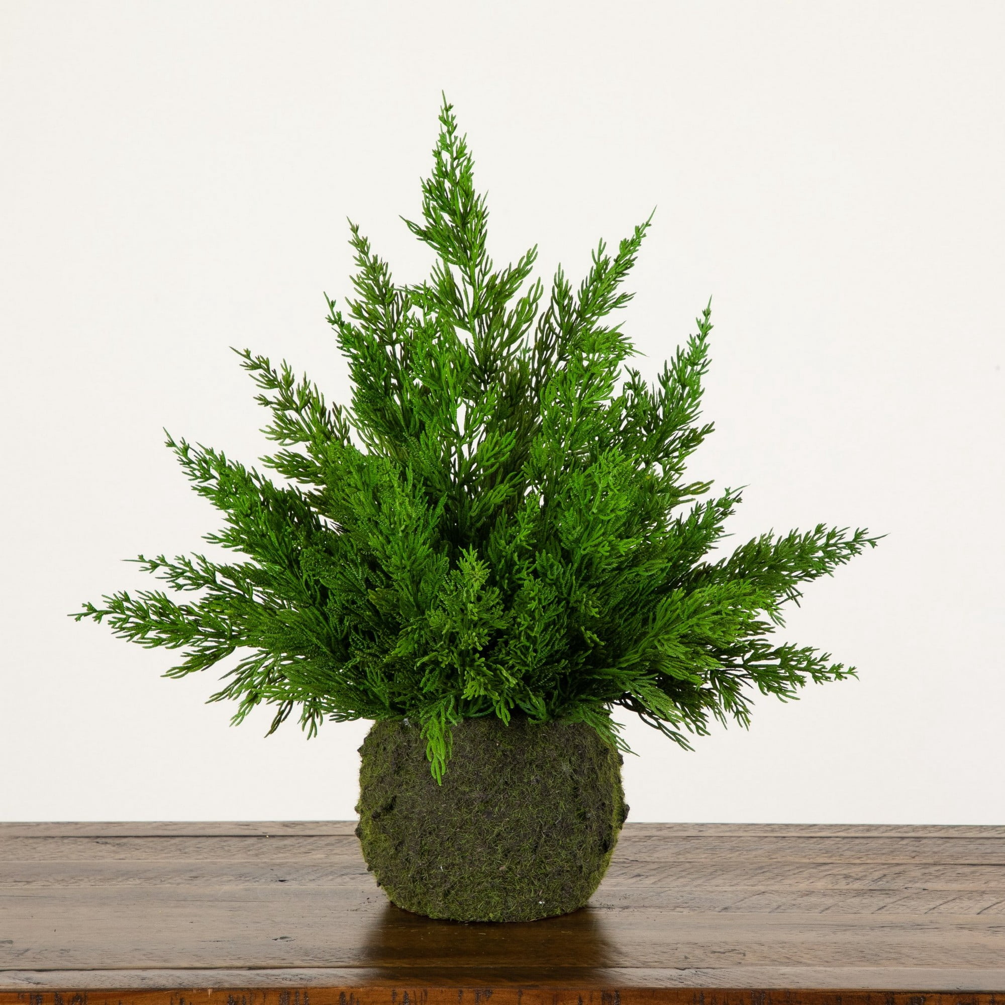 18in. Artificial Real Touch Winter Cypress Bush in Moss Planter