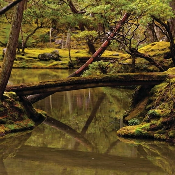 Rebecca Foon - Reverie - Music & Performance - Vinyl