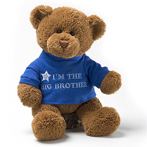 big brother plush