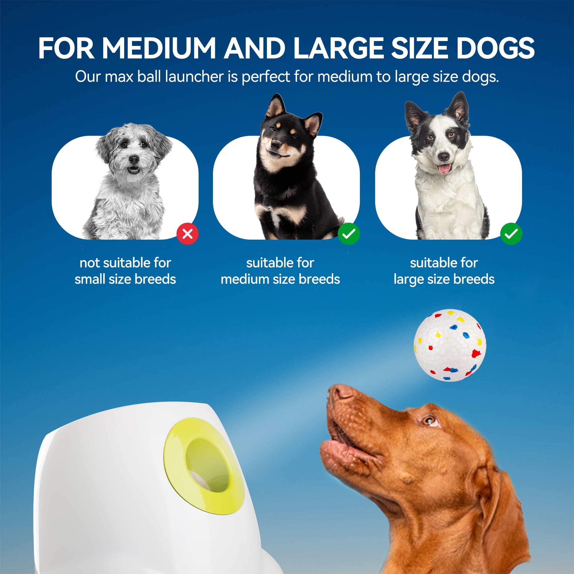All For Paws Automatic Tennis Ball Launcher for Medium & Large Dogs, 6 ETPU Balls Included, Maxi