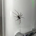 thumbnail image 4 of decorative Magnets, Realistic Spider Fridge Magnets Strong, Magnetic Stickers with Lifelike Spider Shapes, for Halloween decorations Outdoor, Home decor Kitchen and Kids Fridge, 4 of 5