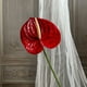 thumbnail image 4 of Flor de imitación de anturio,grulla de fuego,palmera artificial,arreglo floral para el salón de bodas,vegetación para el hogar,flores artificiales decorativas, 4 of 6