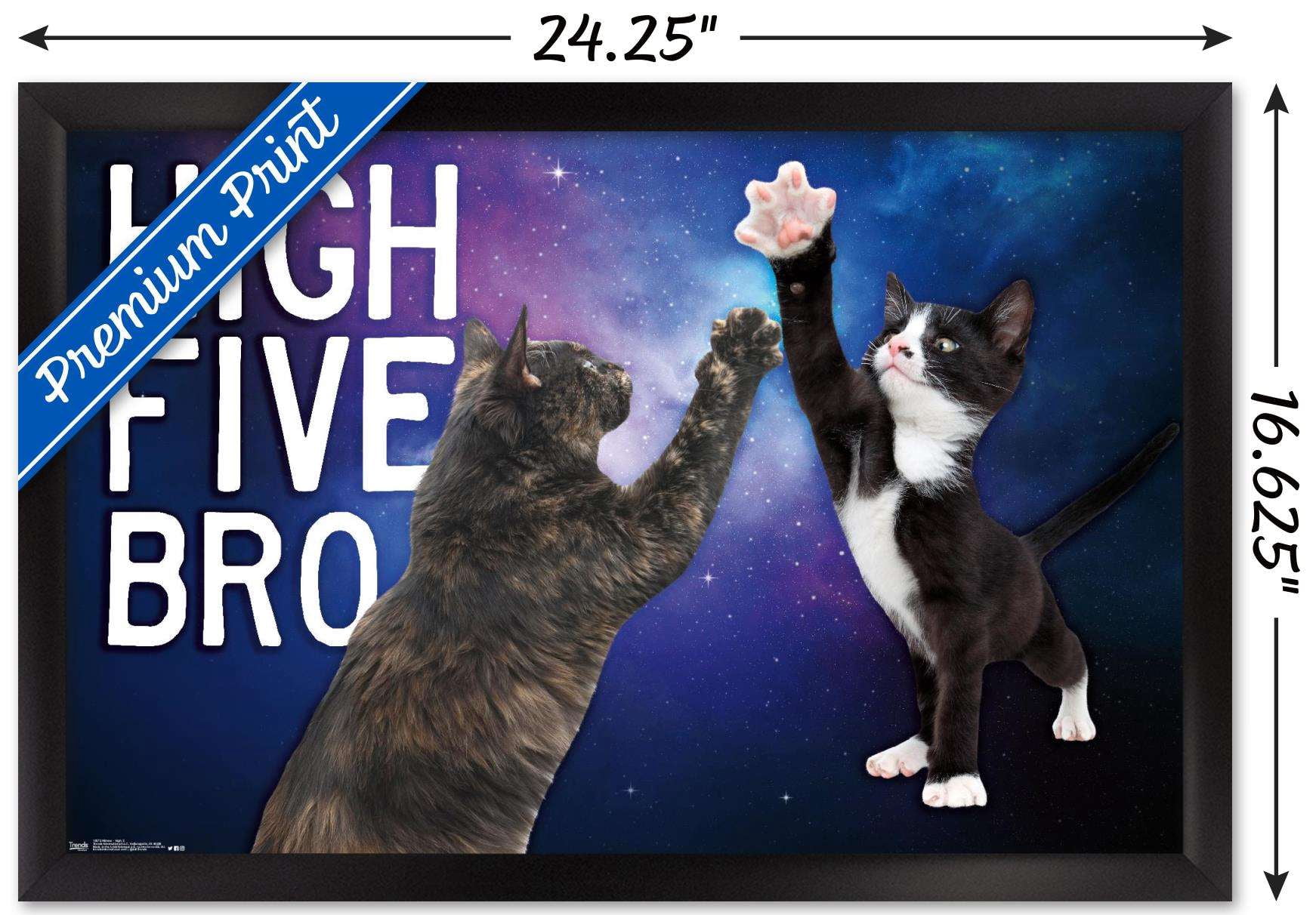 Keith Kimberlin - Kittens - High Five Bro in Space Wall Poster, 14.725" x 22.375", Framed