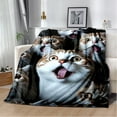 thumbnail image 1 of Couverture Ragdoll Chat Persan Calico Chat Garfield Couverture Douce pour Maison Chambre Lit Canapé Couverture Enfants, 1 of 7