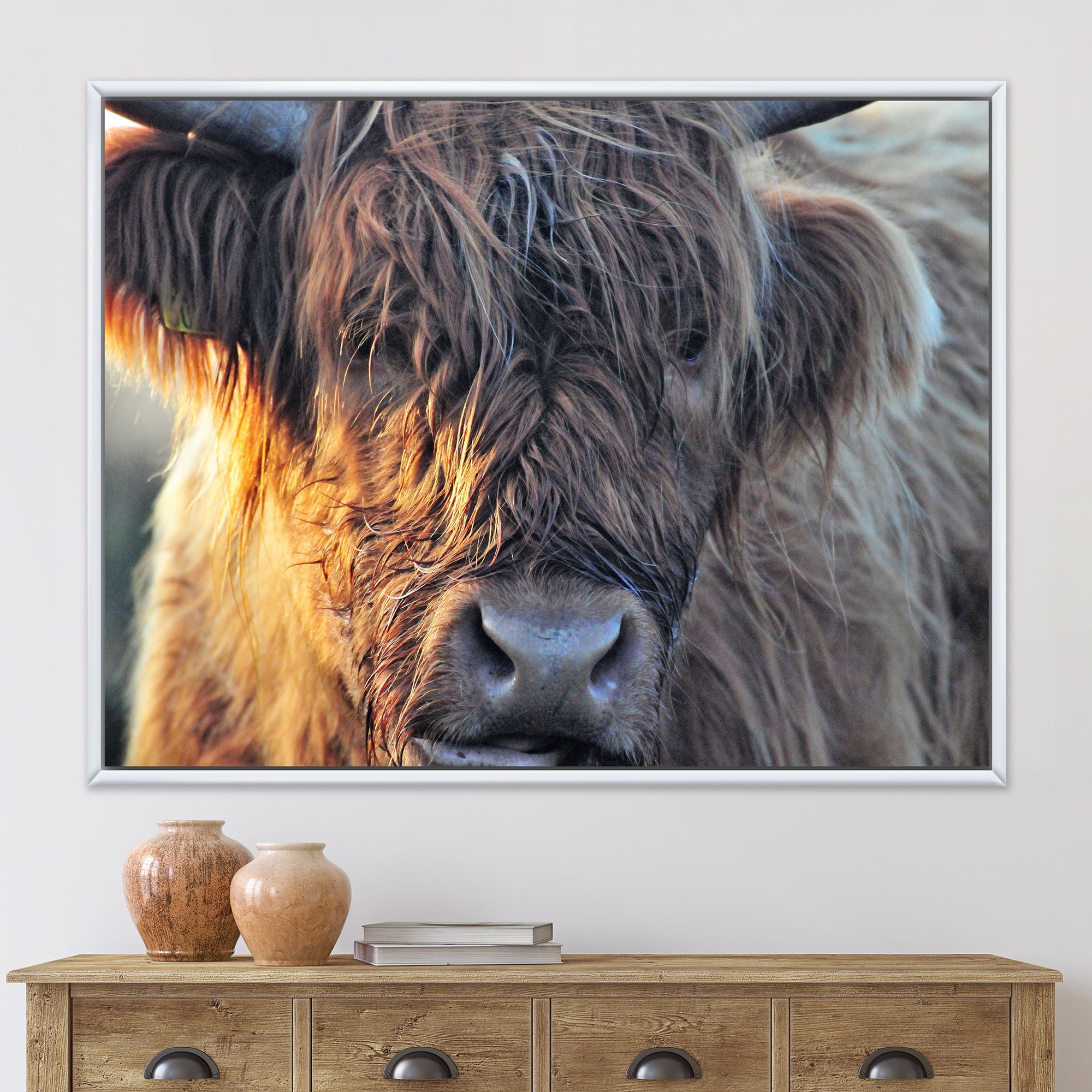 Close Up Of Scottish Cow On Moorland III 20 in x 12 in Framed Photography Canvas Art Print, by Designart