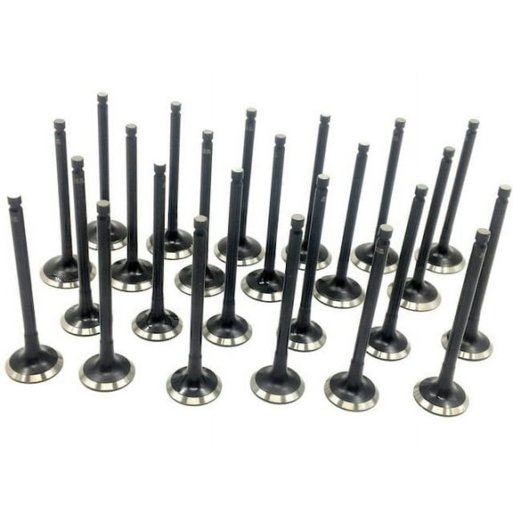 Intake and Exhaust Valve Kit - 24 Piece - Compatible with 1999 - 2005 Hyundai Sonata 2.5L, 2.7L DOHC V6 2000 2001 2002 2003 2004