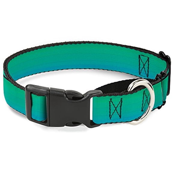 Buckle-Down Teal Ombre Martingale Dog Collar