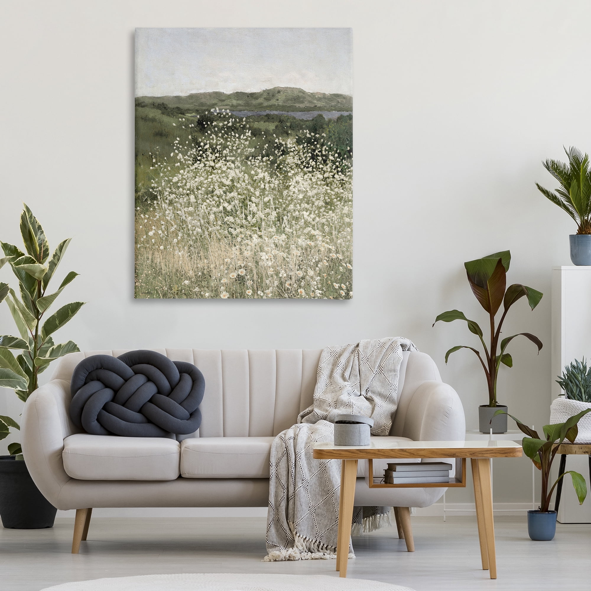 Stupell Industries Sunlit Meadow of White Daisies Canvas Wall Art, design by Amber Sterling