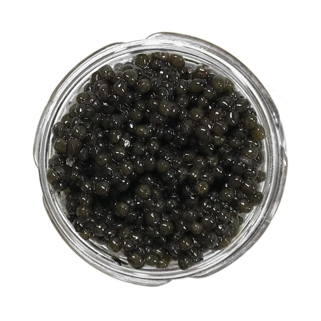 Royal Amber Osetra Caviar 1 oz Russian Sturgeon Roe Cru Dynasty