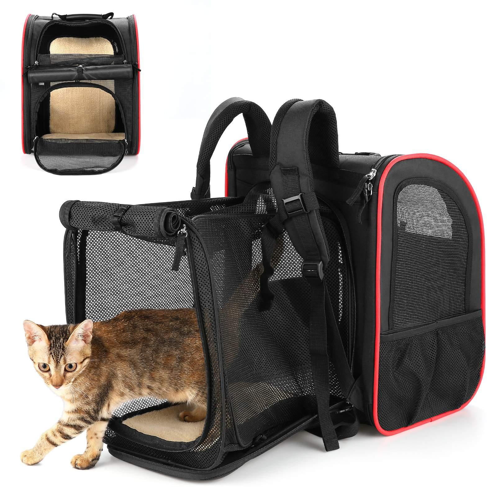 Are Dog Carrier Backpacks Safe