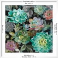 thumbnail image 5 of Art.com Floral Succulents v2 Crop Art Print by Danhui Nai, White Frame Wall Art, 29" x 29", 5 of 5