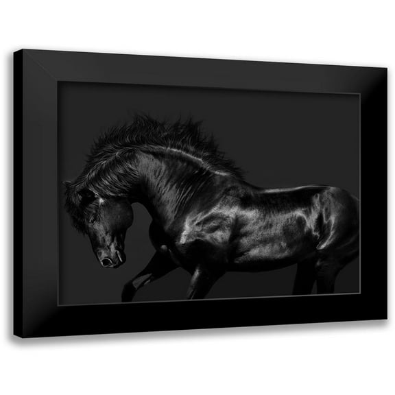 Carter, Samantha 14x12 Black Modern Framed Museum Art Print Titled - Black on Black