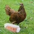 thumbnail image 4 of WRISTBIQUE Comedero Automático Para Gallinas Rutin Con Estructura Estable De Plástico Y Uso, 4 of 8