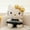Black gold KT, variant on KRM KT Black Gold Series Plush Toys Cartoon Dolls Wedding Dolls Birthday Gifts Christmas Gifts Confession Gifts
