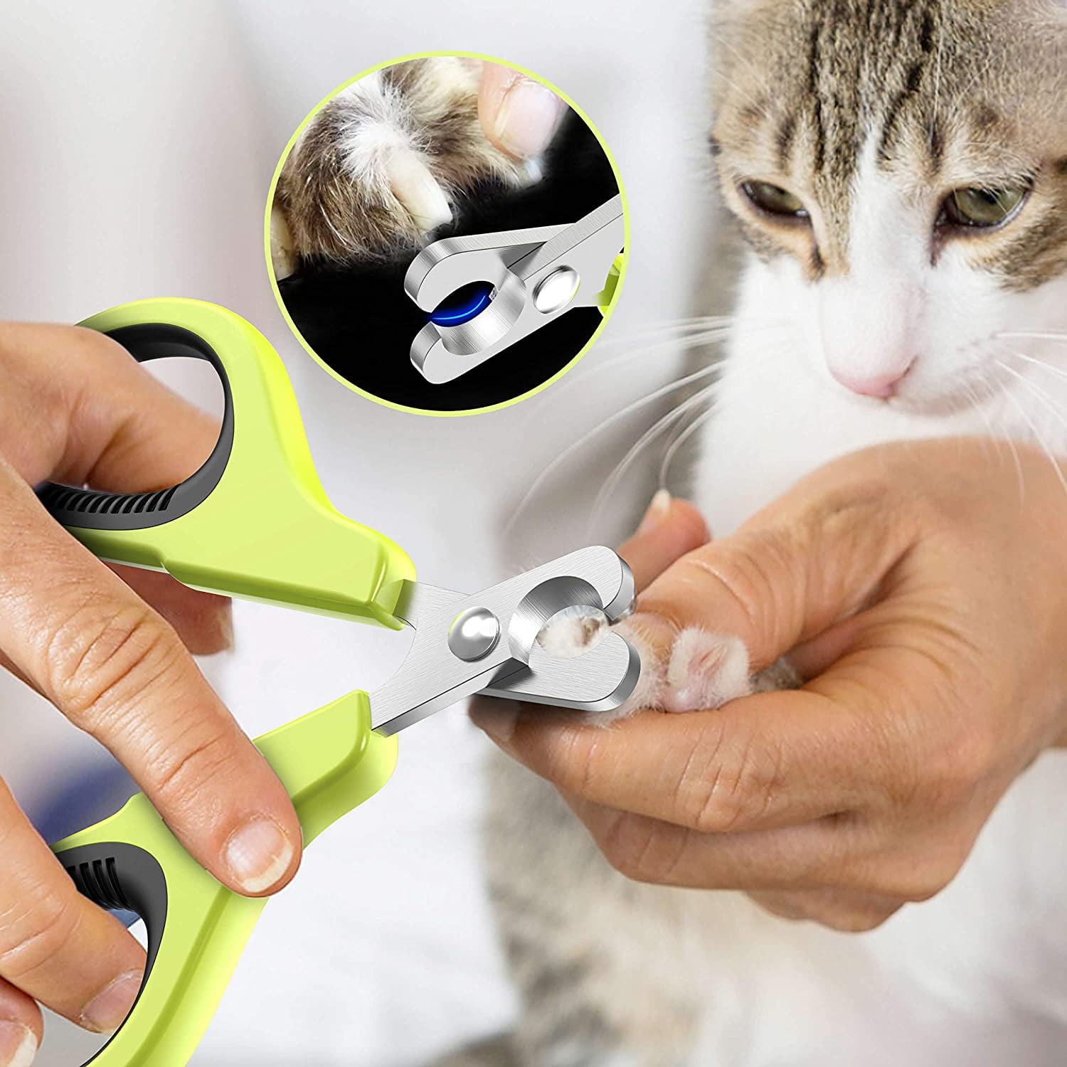 Professional Cat Nail Trimmer Suitable for Small Dogs and Cats Walmart