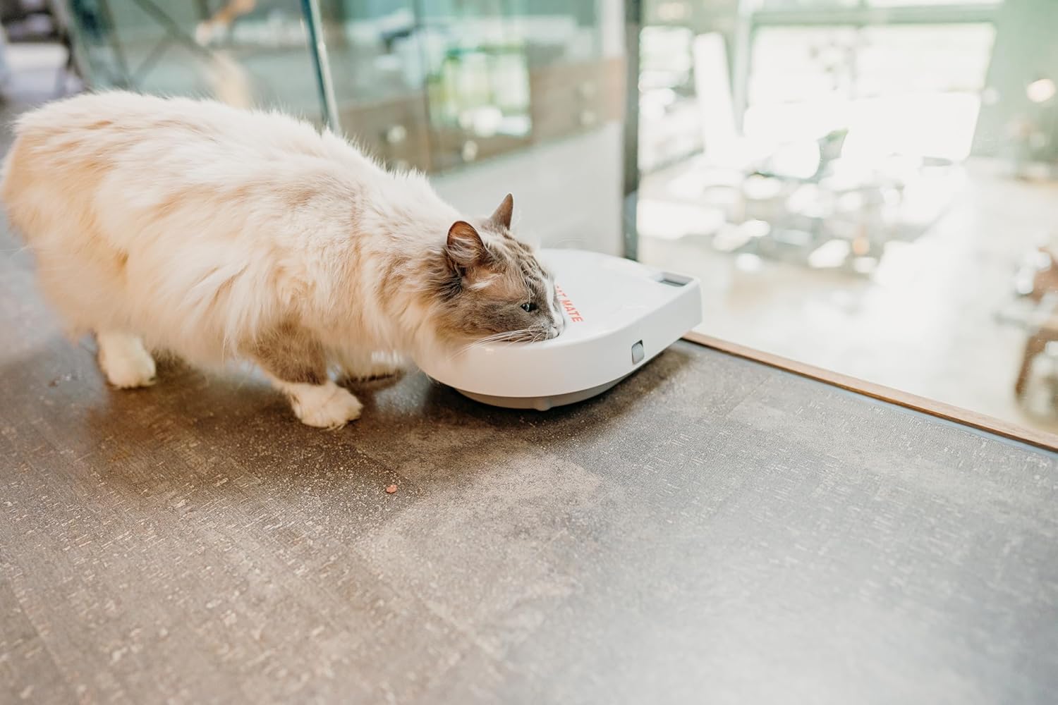 C300 Automatic 3 Meal Pet Feeder with Digital Timer for Cats and Small Dogs