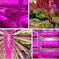 thumbnail image 4 of Tira de luces LED USB de 3 m, resistente al agua, para cultivo de plantas en interiores, 4 of 6