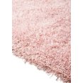 thumbnail image 4 of Chesapeake Microfiber Polyester Shag Blush Canilla Area Rug (5'x7'), 4 of 6