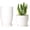 Multicolor, variant on 7.5" Plastic Plant Pots for Plants with Saucers, Indoor Set of 5 Plastic Planters Modern Flower Pot with Drainage Hole for All House Plants, Herbs, Flowers, and Seeding Nursery, Multi