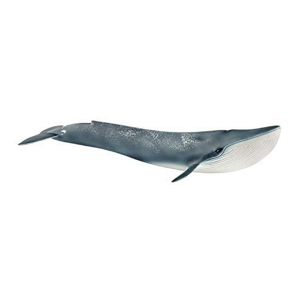 Schleich Wild Life - Realistic Blue Whale Figurine - Authentic and Highly Detailed Aquatic Animal Toy - Durable Ocean Animal Toys for Kids Ages 3+