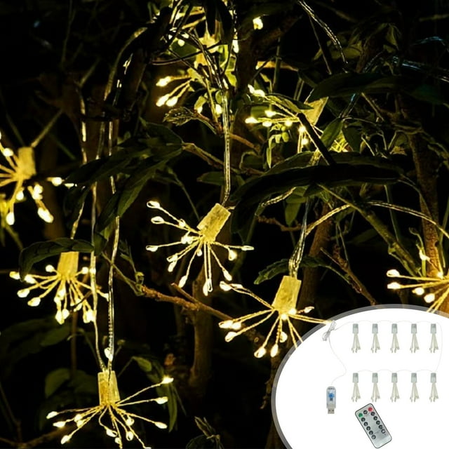 SPOORYYO Guirlande Lumineuse Décorative USB 10 Pieds avec Télécommande pour Décoration de Fête Intérieure et Extérieure - Éclairage Multicolore pour Festivals, Noël, Jardin et Décoration Intérieure