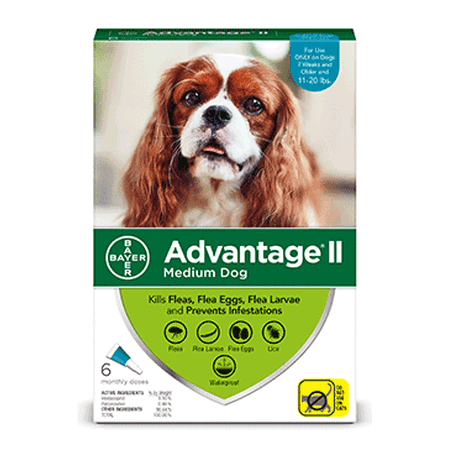 Advantage II Flea Treatment for Medium Dogs, 6 Monthly (Best Price Advantage For Dogs)