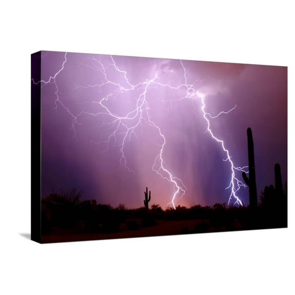 Art.com Electrifying Stretched Canvas Print Wall Art by Douglas Taylor, 24" x 16"