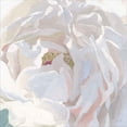 thumbnail image 2 of Great Art Now Essence of June Floral I by James Wiens, Canvas Wall Art, 12W x 12H, 2 of 2