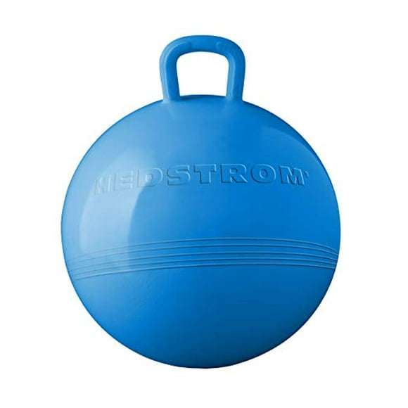 Hedstrom Balle Trémie Bleue 15 Pouces