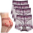 thumbnail image 1 of 4pcs Mesh See Through Tummy Tucking Hips Lifting Panties,Womens Sexy Lace Panties High Waisted Plus Size Ladies Brief, 1 of 5
