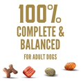thumbnail image 4 of Cesar Small Breed Dry Dog Food, 5 lb., 4 of 11