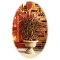 thumbnail image 4 of Bloem Grecian Urn Planter 18 in. Peppercorn, 4 of 6