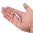 thumbnail image 4 of PowerBait® The Champ Minnow, 4 of 10