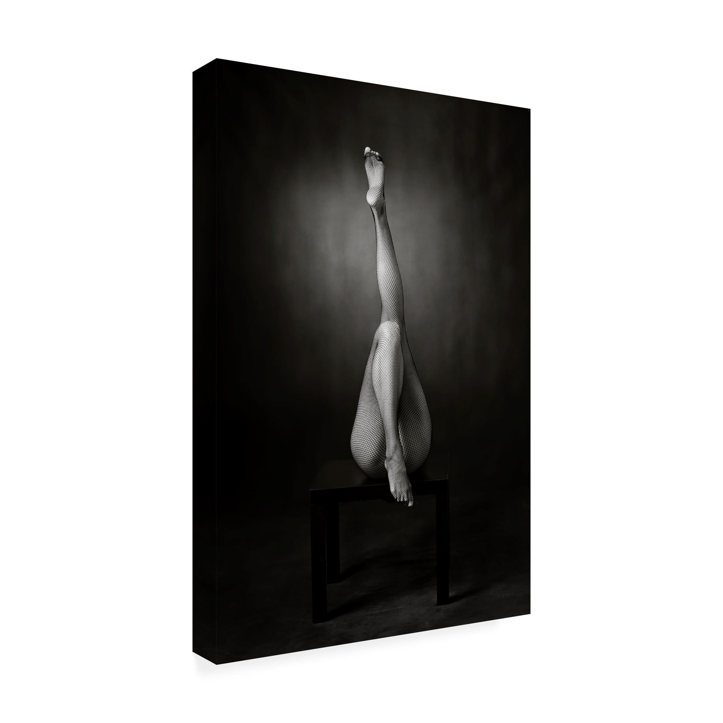 Trademark Fine Art Catchlight Studio One Up One Down Canvas Wall Art - 16x24