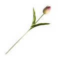 thumbnail image 3 of Mini Artificial Flower Home Office Floral Decor Wedding Party Decorative PU Fake Flower  Green, 3 of 8