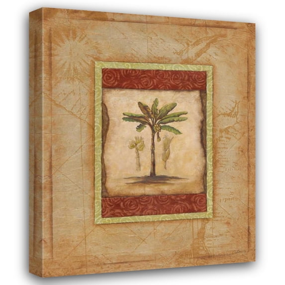 Susan Osborne 26x32 Gallery Wrapped Canvas Wall Art Titled - Palm Botanical Study I