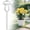 C, variant on Glass Plant Watering Globes,Self Watering Globes Bird Shape,Plant Watering Devices,Self Watering Planter Insert,Automatic Watering Bulbs for Indoor Plants(A)
