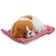 thumbnail image 3 of Juguetes de peluche, juguetes de peluche para niños encantadores, muñeco de peluche, juguete de peluche para perro, artesanía superior, 3 of 8