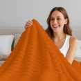 thumbnail image 5 of Burnt Orange Fleece Throw Blanket for Couch, Country Modern Farmhouse Solid Fall Orange Microfiber Flannel Blanket for All Season, Lightweight Soft Throw Blankets for Women, Girls, Adults, 50"x80", 5 of 9